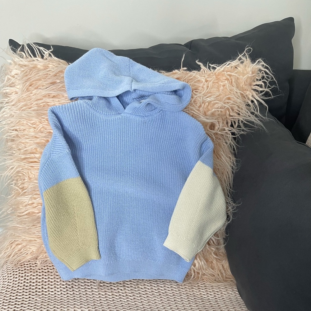 Zara l Color Block Pullover Hoodie